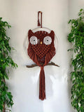 Handcrafted Macrame Owl Wall Hanging - Natural Brown & White