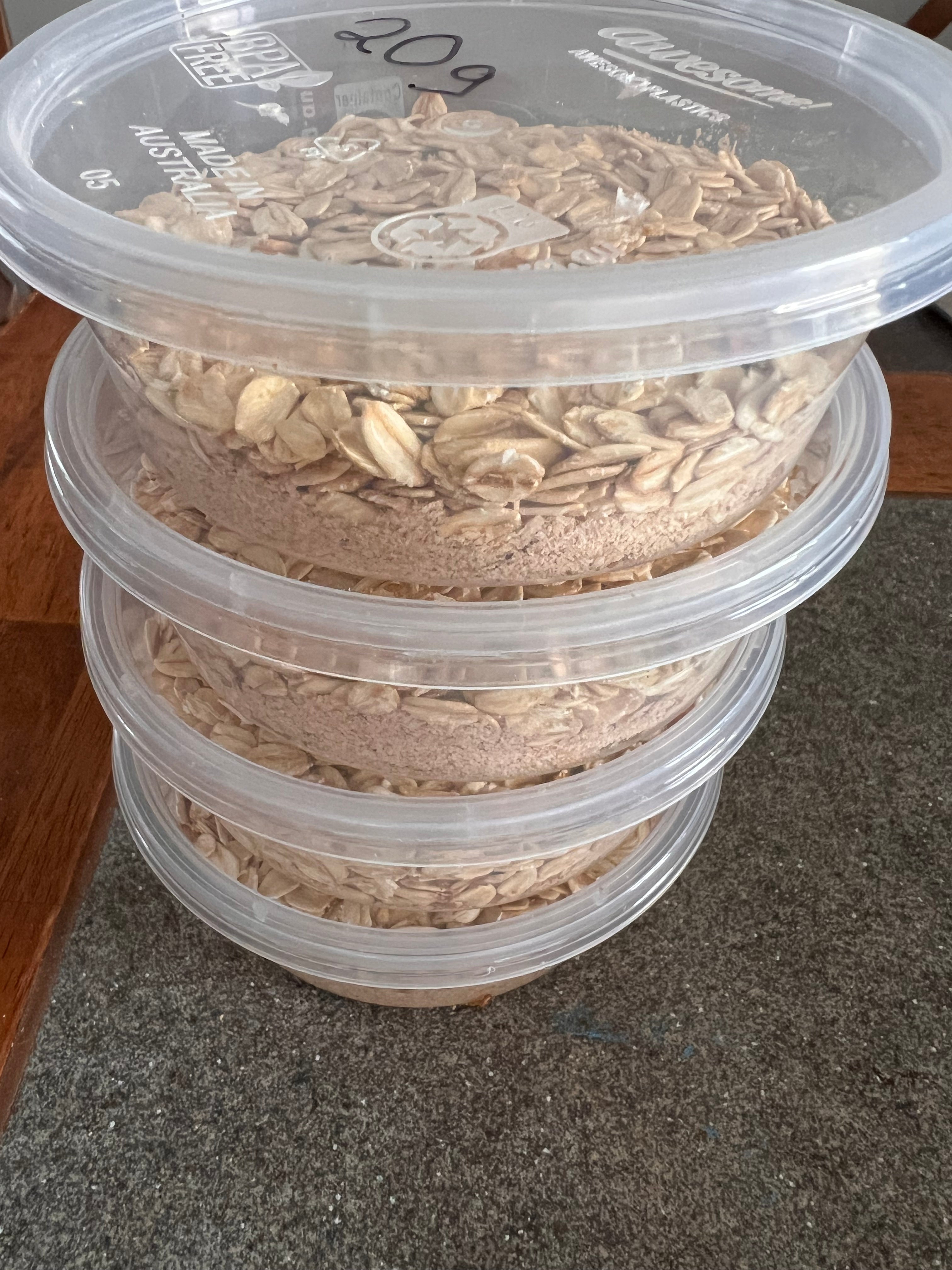 Mealworms - Fridge Hibernated